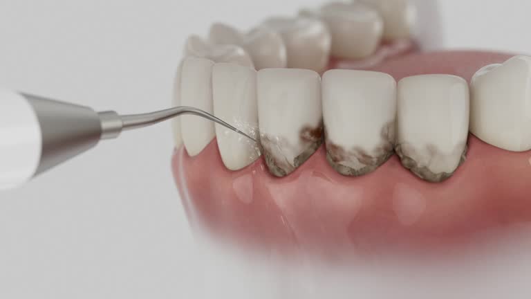 Reliable Dental contractor in Auburn Lake Trails, CA by Dentist Open Now